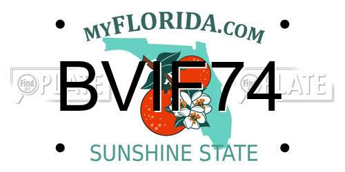 BVIF74 Florida License Plate