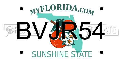 BVJR54 Florida License Plate