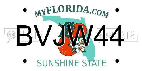 BVJW44 Florida License Plate