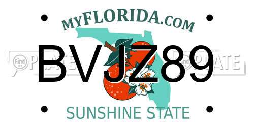 BVJZ89 Florida License Plate