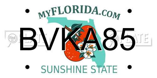 BVKA85 Florida License Plate