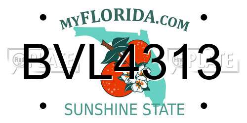 BVL4313 Florida License Plate