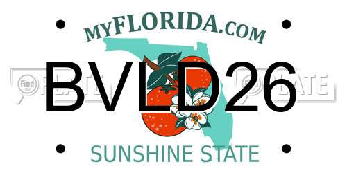 BVLD26 Florida License Plate