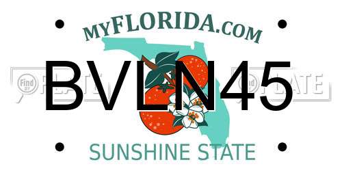 BVLN45 Florida License Plate