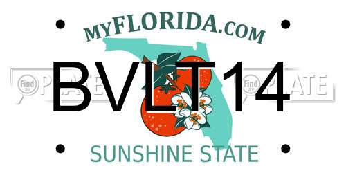 BVLT14 Florida License Plate