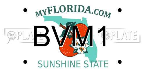 BVM1 Florida License Plate