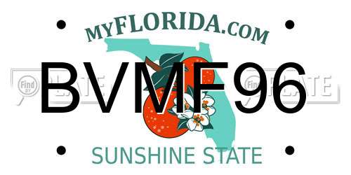 BVMF96 Florida License Plate