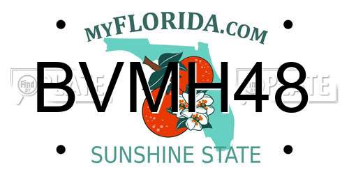 BVMH48 Florida License Plate