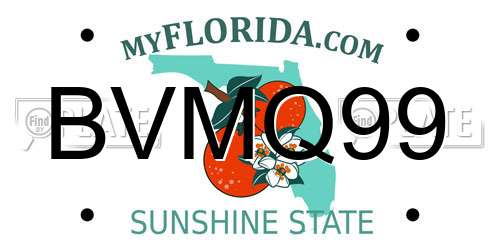 BVMQ99 Florida License Plate