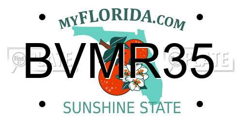 BVMR35 Florida License Plate