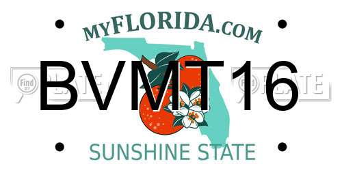 BVMT16 Florida License Plate