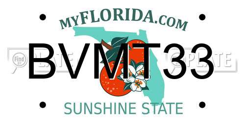 BVMT33 Florida License Plate