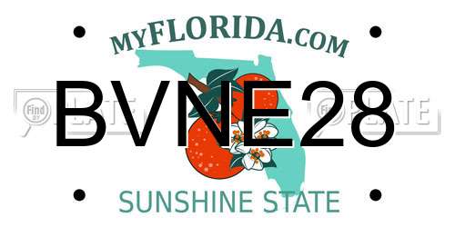 BVNE28 Florida License Plate