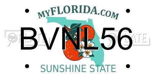 BVNL56 Florida License Plate
