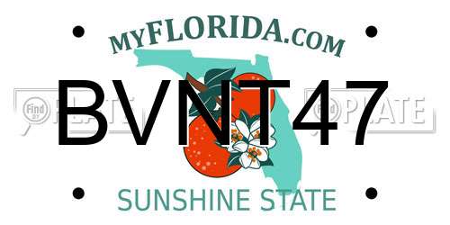 BVNT47 Florida License Plate