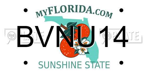 BVNU14 Florida License Plate