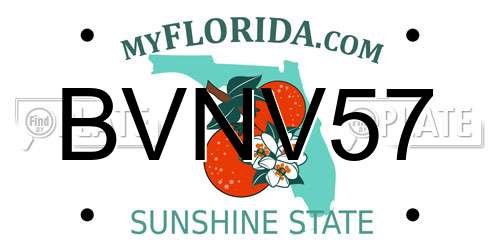 BVNV57 Florida License Plate