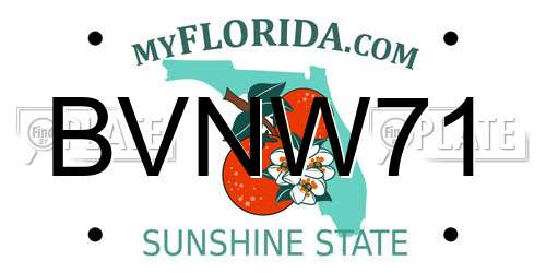 BVNW71 Florida License Plate