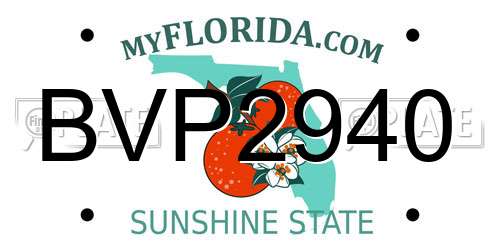 BVP2940 Florida License Plate