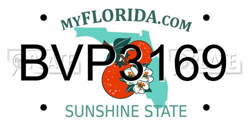 BVP3169 Florida License Plate