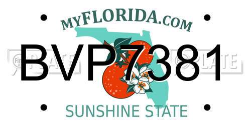 BVP7381 Florida License Plate