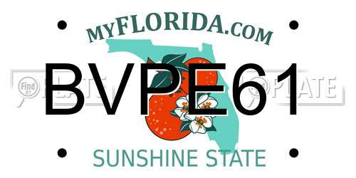 BVPE61 Florida License Plate