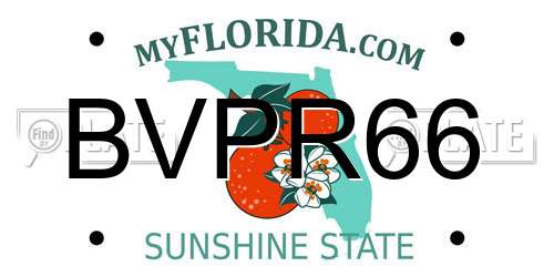 BVPR66 Florida License Plate
