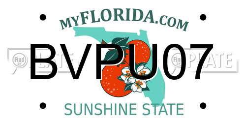 BVPU07 Florida License Plate
