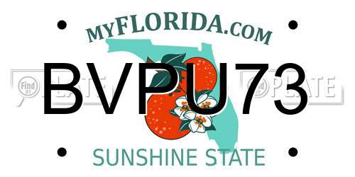BVPU73 Florida License Plate