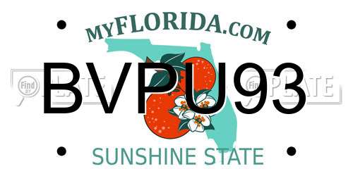 BVPU93 Florida License Plate