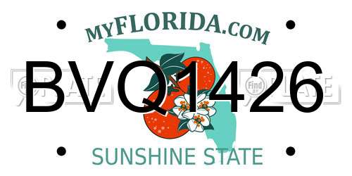 BVQ1426 Florida License Plate