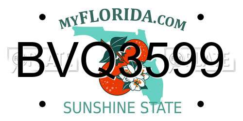 BVQ3599 Florida License Plate