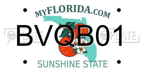 BVQB01 Florida License Plate