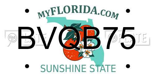 BVQB75 Florida License Plate
