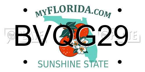 BVQG29 Florida License Plate