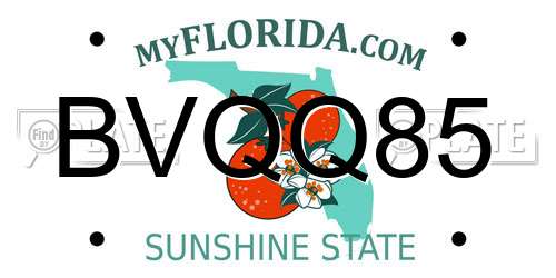 BVQQ85 Florida License Plate