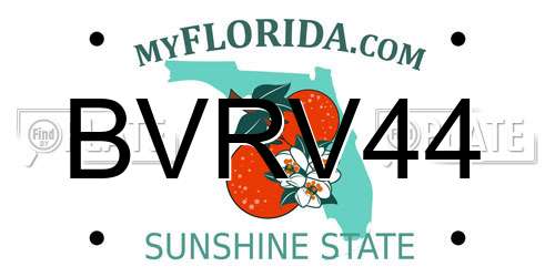BVRV44 Florida License Plate