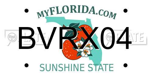 BVRX04 Florida License Plate