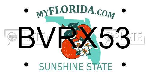 BVRX53 Florida License Plate