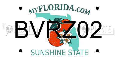 BVRZ02 Florida License Plate
