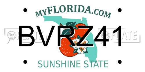 BVRZ41 Florida License Plate