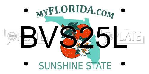 BVS25L Florida License Plate