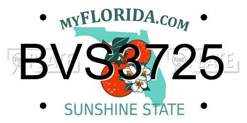 BVS3725 Florida License Plate