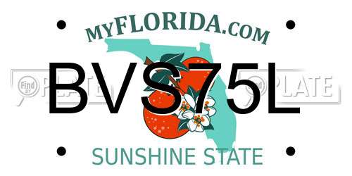 BVS75L Florida License Plate
