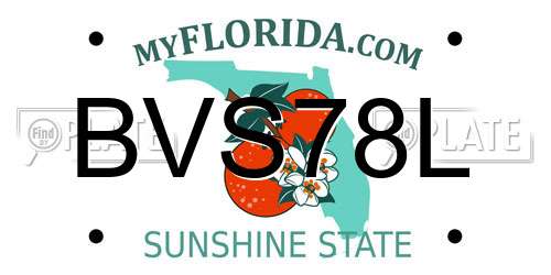 BVS78L Florida License Plate