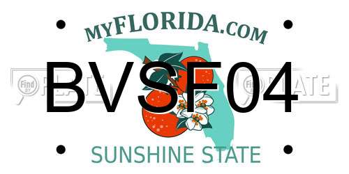 BVSF04 Florida License Plate