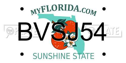 BVSJ54 Florida License Plate