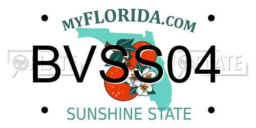 BVSS04 Florida License Plate