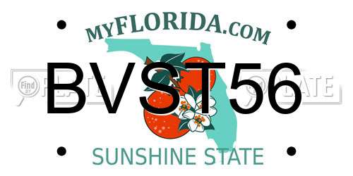 BVST56 Florida License Plate