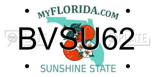BVSU62 Florida License Plate